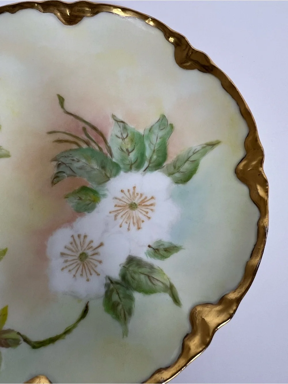 Antique Haviland Limoges France Hand Painted Floral Gold Gilt Cabinet Plate 7.5”